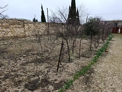 Satılır torpaq sahəsi 7 m²