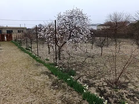 Satılır torpaq sahəsi 7 m²