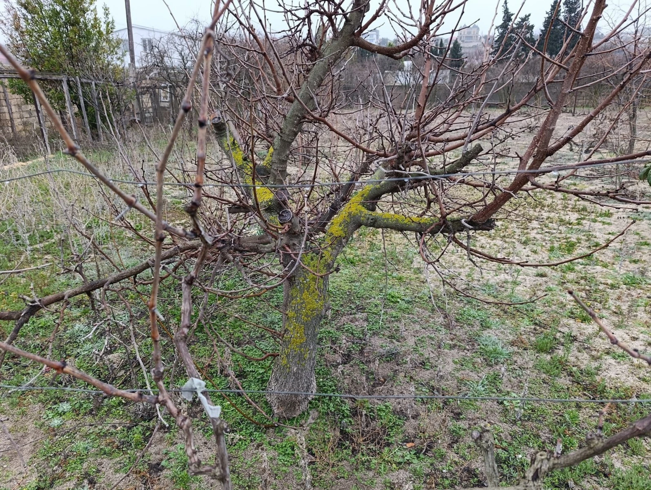 Satılır torpaq sahəsi 7 m²