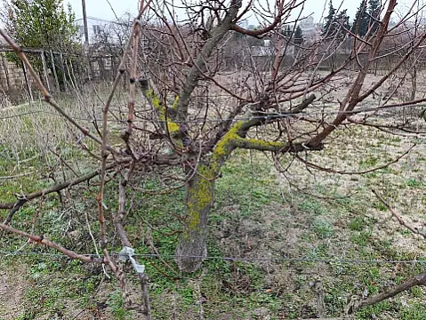 Satılır torpaq sahəsi 7 m²