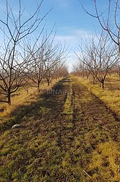 Satılır torpaq sahəsi 400 m² — Xaçmaz 400.00 m²