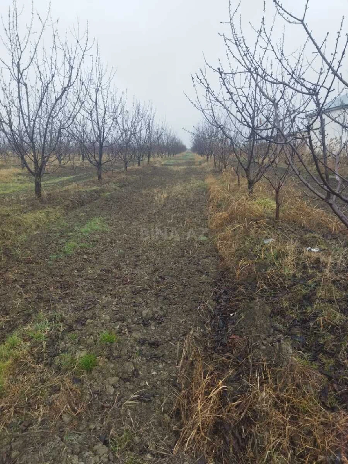 Satılır torpaq sahəsi 400 m²