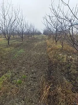 Satılır torpaq sahəsi 400 m²