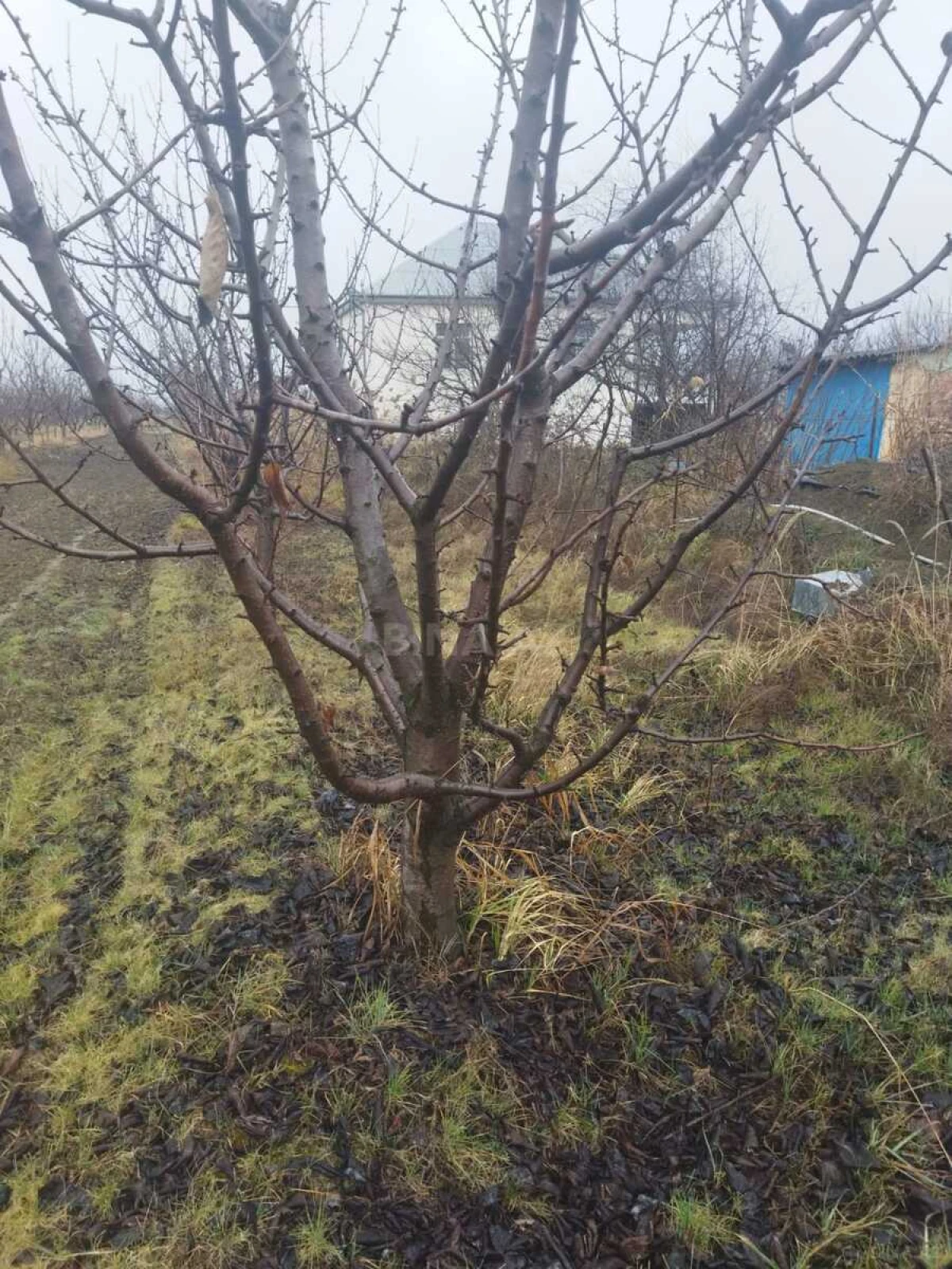 Satılır torpaq sahəsi 400 m²