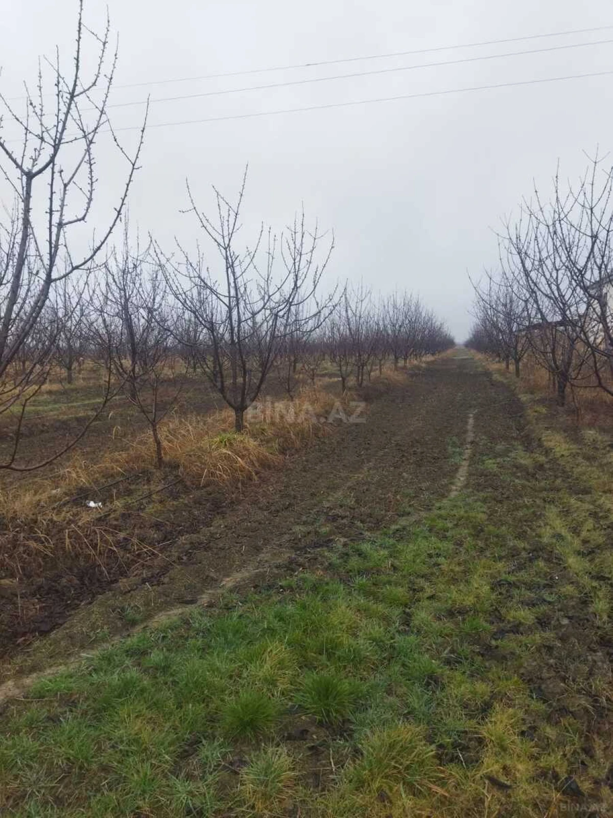 Satılır torpaq sahəsi 400 m²