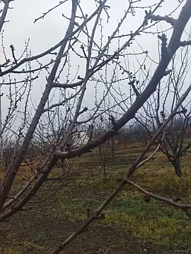 Satılır torpaq sahəsi 400 m²