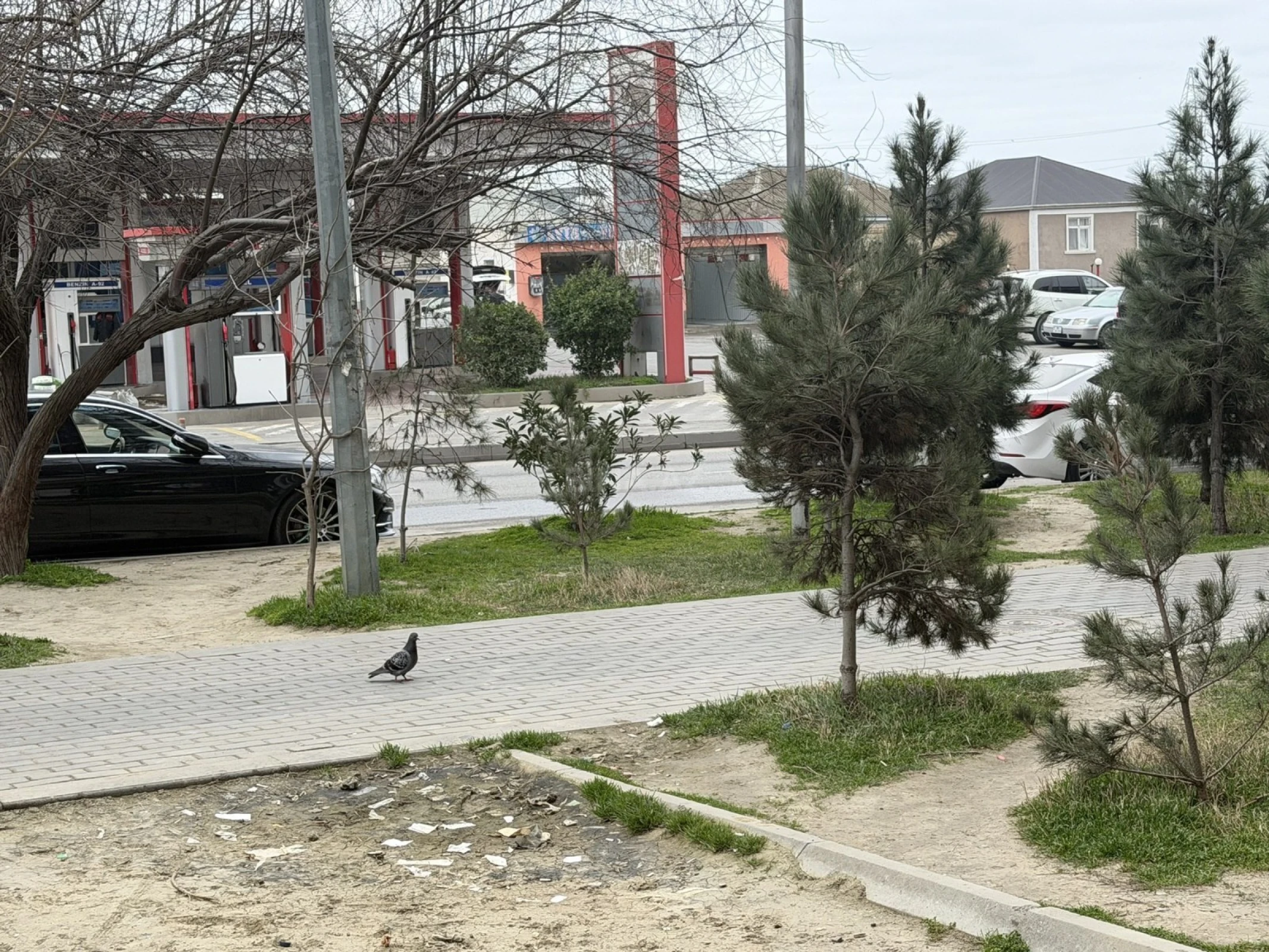 Satılır obyekt 43.2 m²