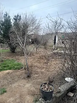 Satılır torpaq sahəsi 3 m² — Bakı, Buzovna 3.00 m²