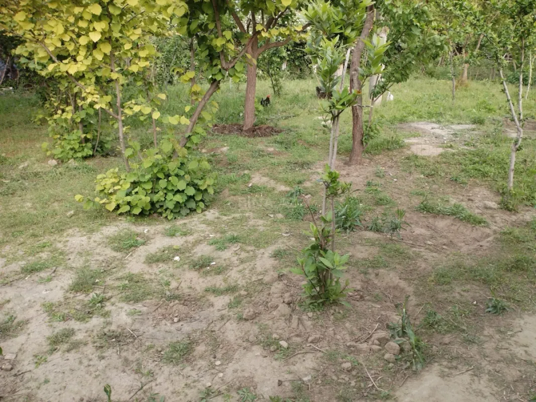 Satılır 9 otaqlı həyət evi 700 m²