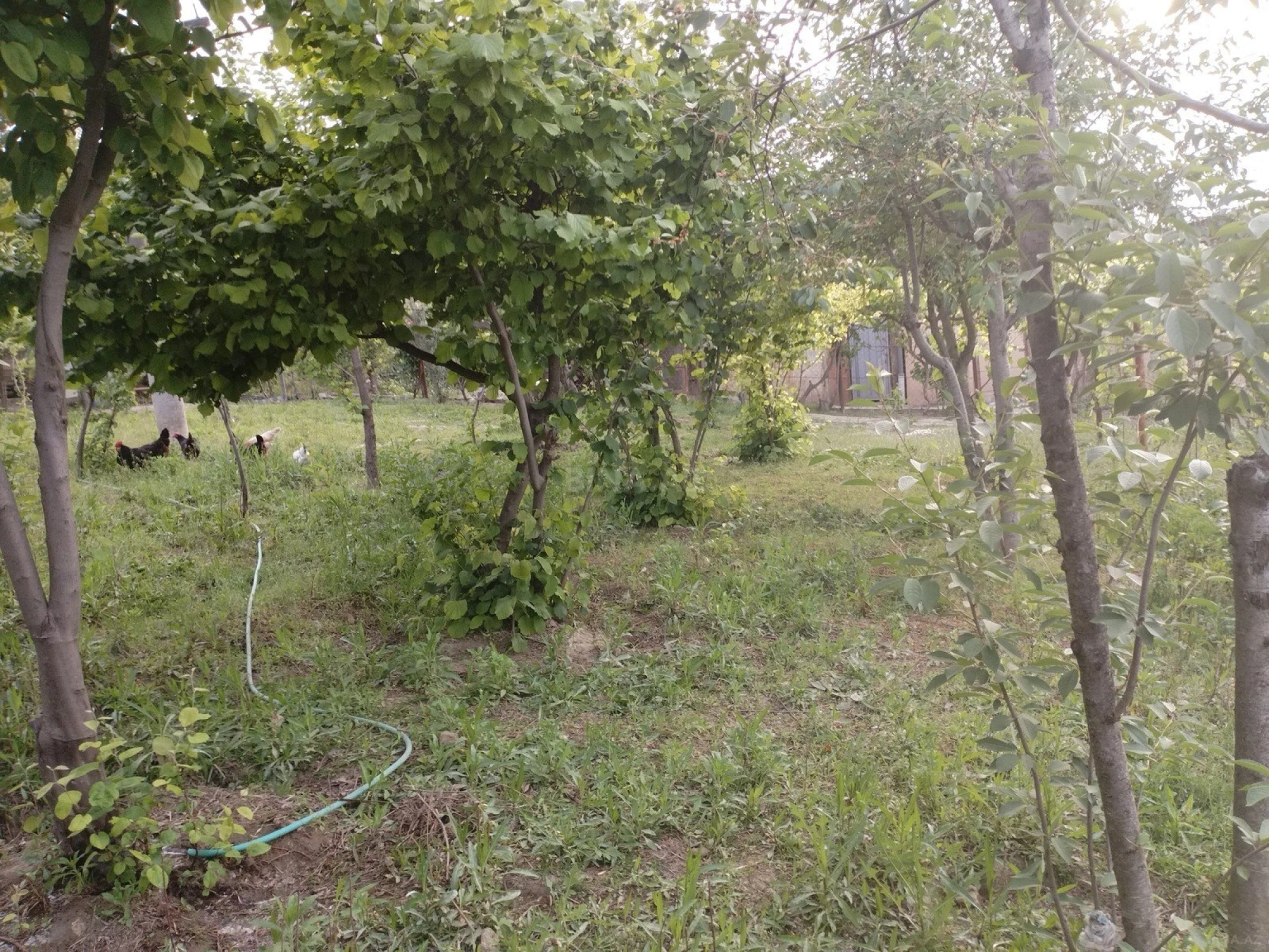 Satılır 9 otaqlı həyət evi 700 m²