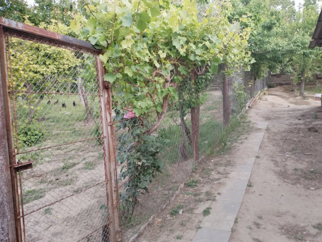 Satılır 9 otaqlı həyət evi 700 m²