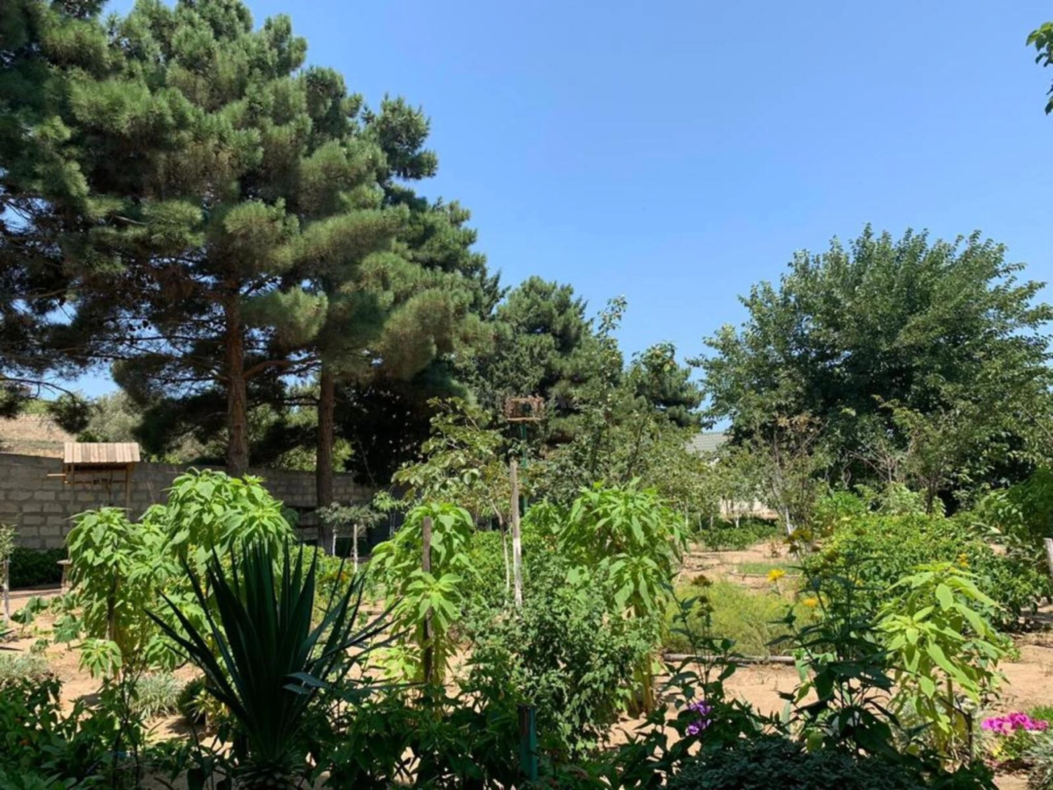 Satılır 6 otaqlı həyət evi 360 m²