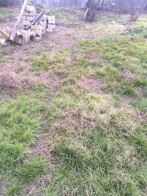 Satılır torpaq sahəsi 10 m²