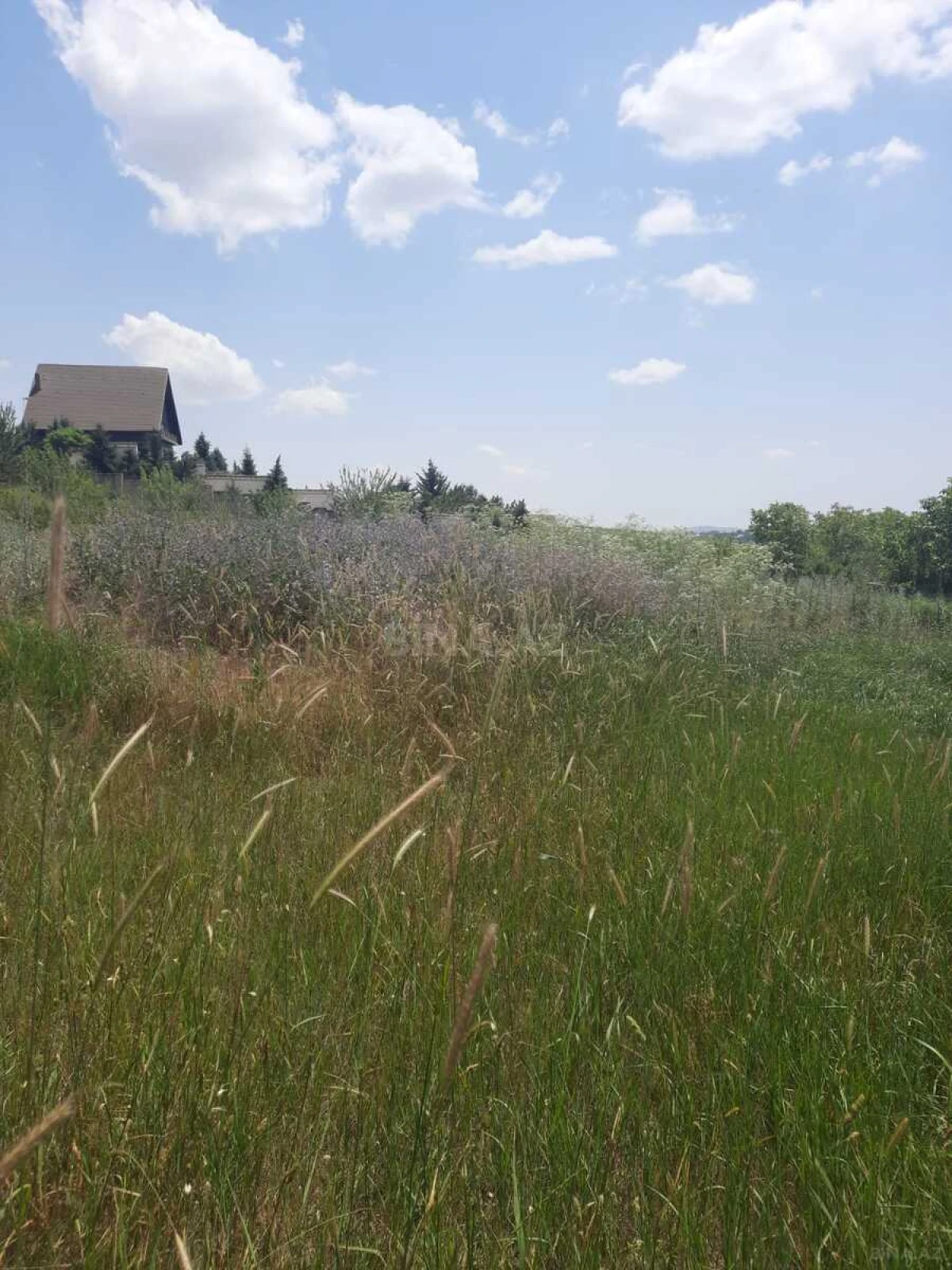 Satılır torpaq sahəsi 60 m²