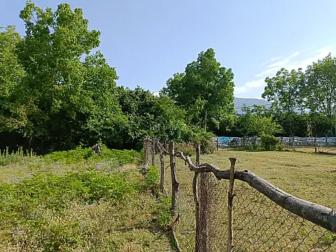 Satılır torpaq sahəsi 18 m² — Qəbələ 18.00 m²