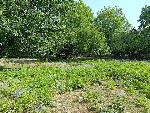 Satılır torpaq sahəsi 18 m²