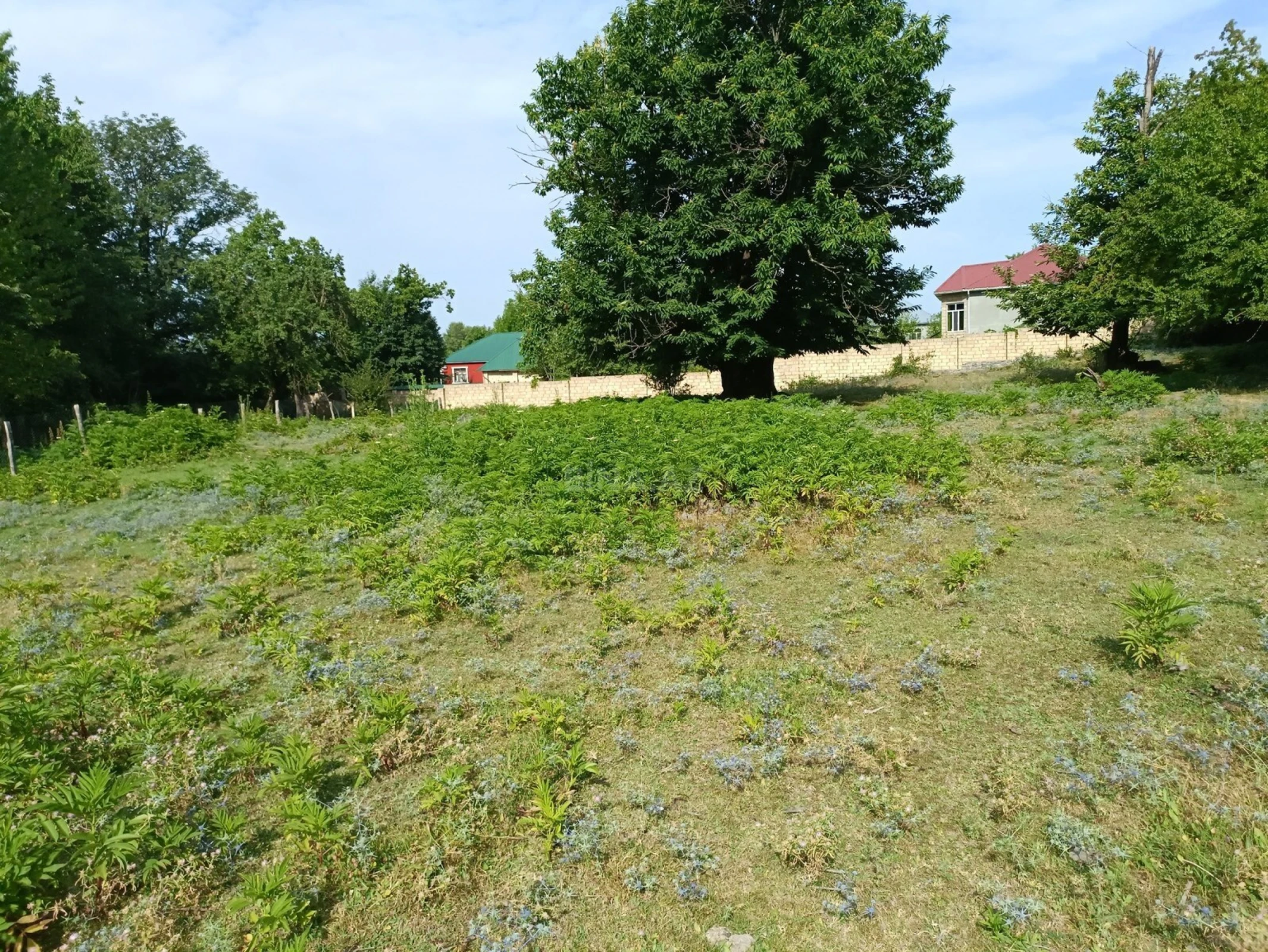 Satılır torpaq sahəsi 18 m²