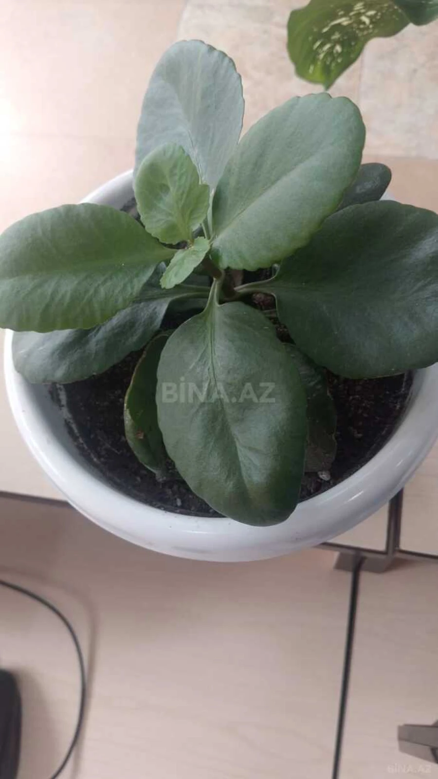 Kirayə verilir 4 otaqlı mənzil 75 m²