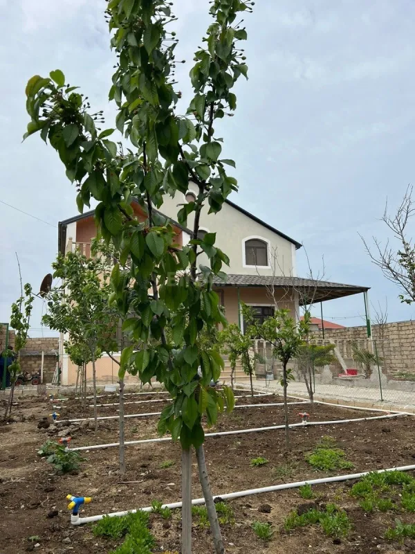 Satılır 4 otaqlı həyət evi 200 m²