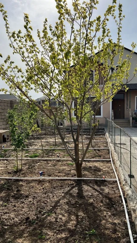 Satılır 4 otaqlı həyət evi 200 m²