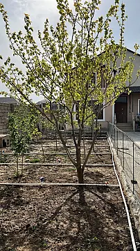 Satılır 4 otaqlı həyət evi 200 m²