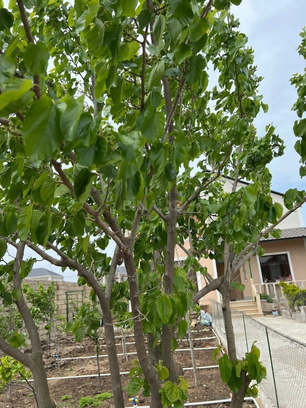 Satılır 4 otaqlı həyət evi 200 m²