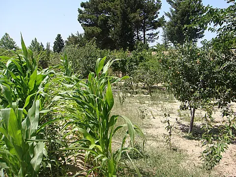 Satılır 3 otaqlı həyət evi 122.1 m²