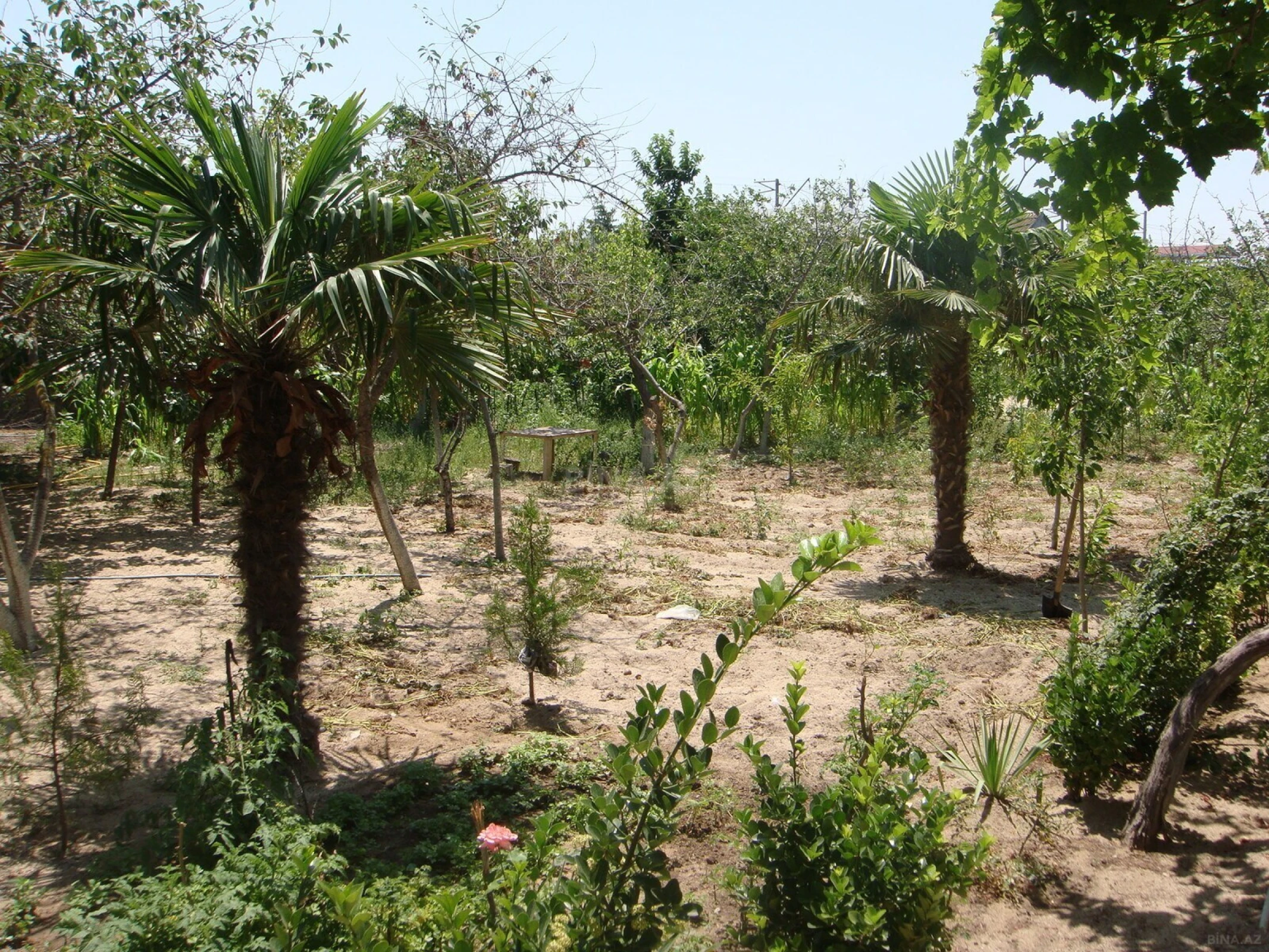 Satılır 3 otaqlı həyət evi 122.1 m²