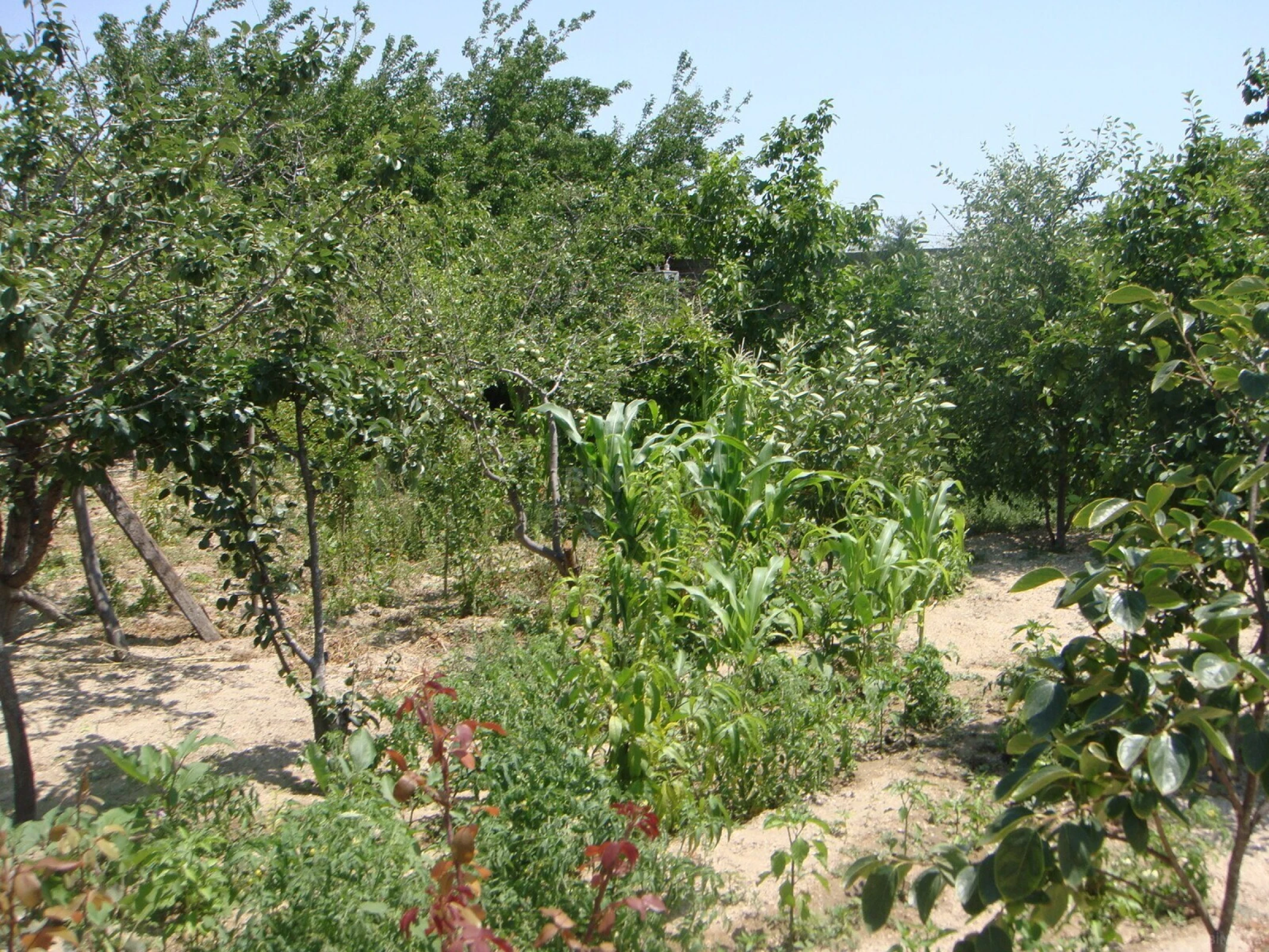 Satılır 3 otaqlı həyət evi 122.1 m²