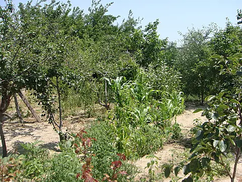 Satılır 3 otaqlı həyət evi 122.1 m²