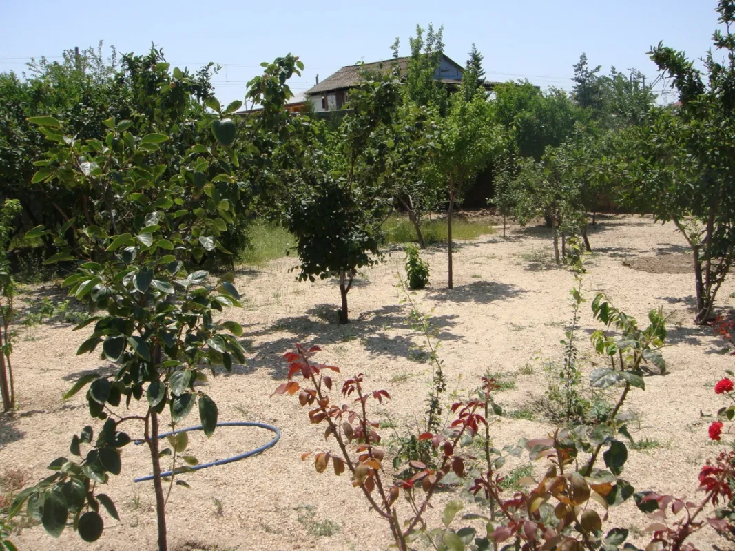 Satılır 3 otaqlı həyət evi 122.1 m²