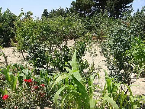 Satılır 3 otaqlı həyət evi 122.1 m²