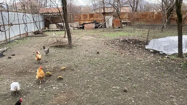 Satılır torpaq sahəsi 5 m²