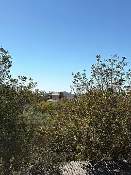 Satılır 12 otaqlı həyət evi 800 m²