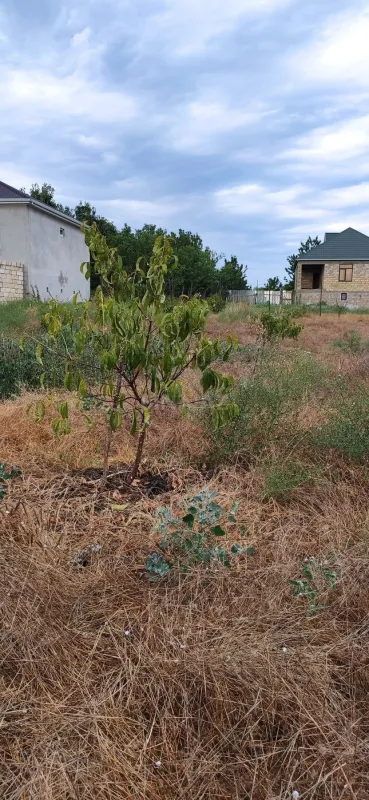 Satılır torpaq sahəsi 12 m²