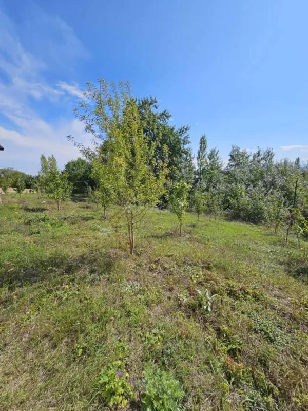 Satılır 4 otaqlı həyət evi 160 m²