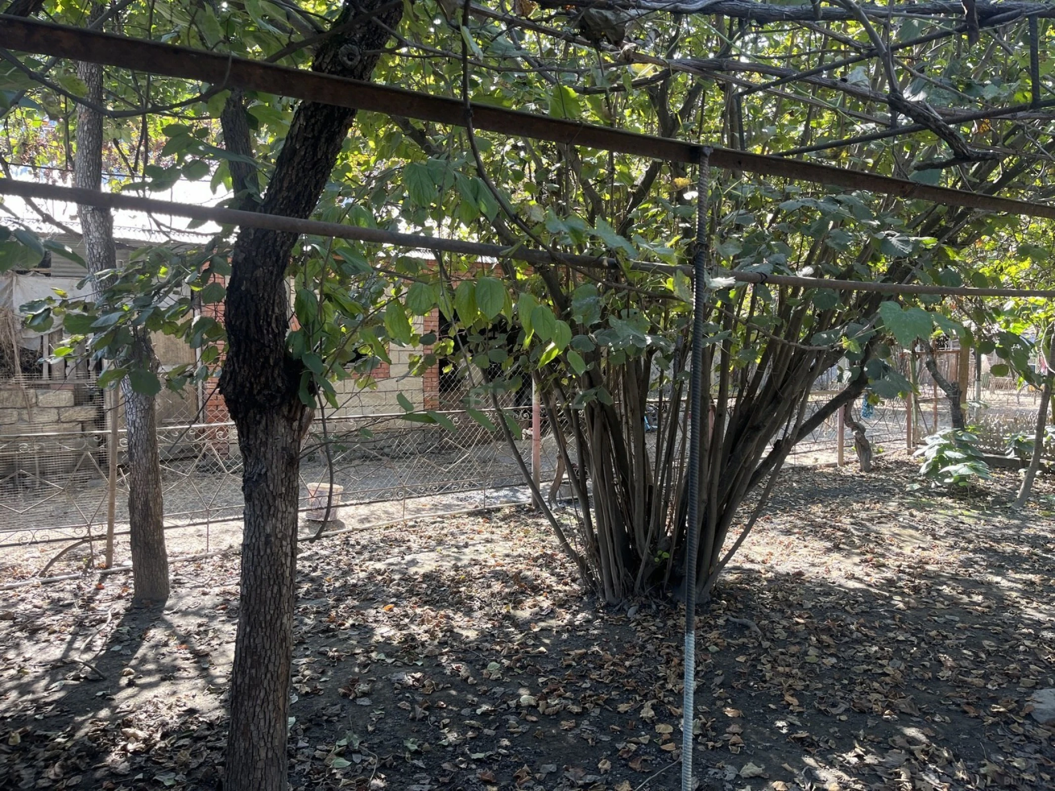 Satılır 6 otaqlı həyət evi 233 m²