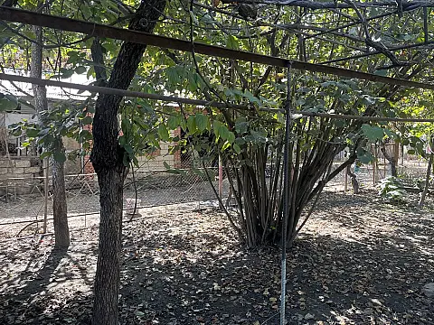 Satılır 6 otaqlı həyət evi 233 m²