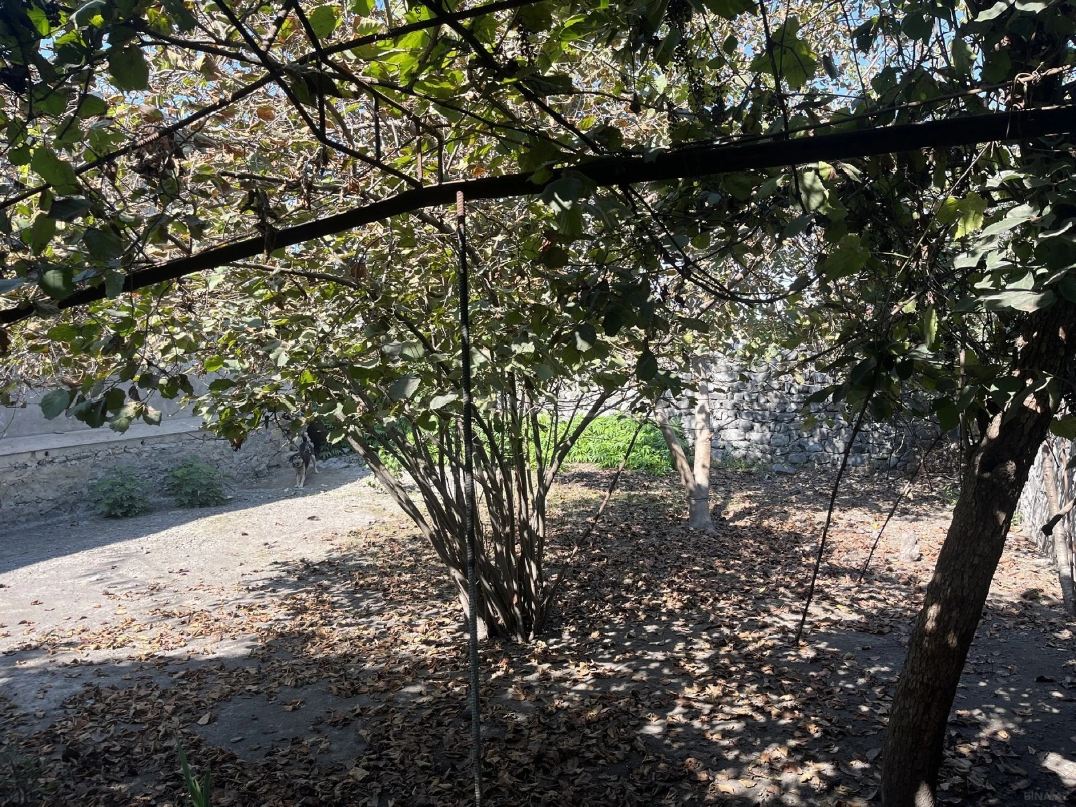 Satılır 6 otaqlı həyət evi 233 m²