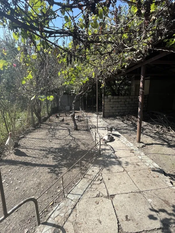 Satılır 6 otaqlı həyət evi 233 m²