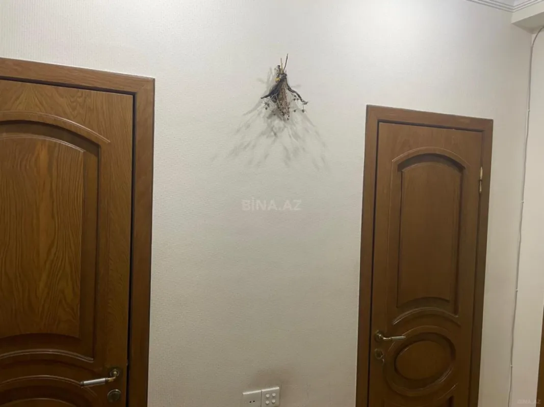 Kirayə verilir 2 otaqlı mənzil 100 m²