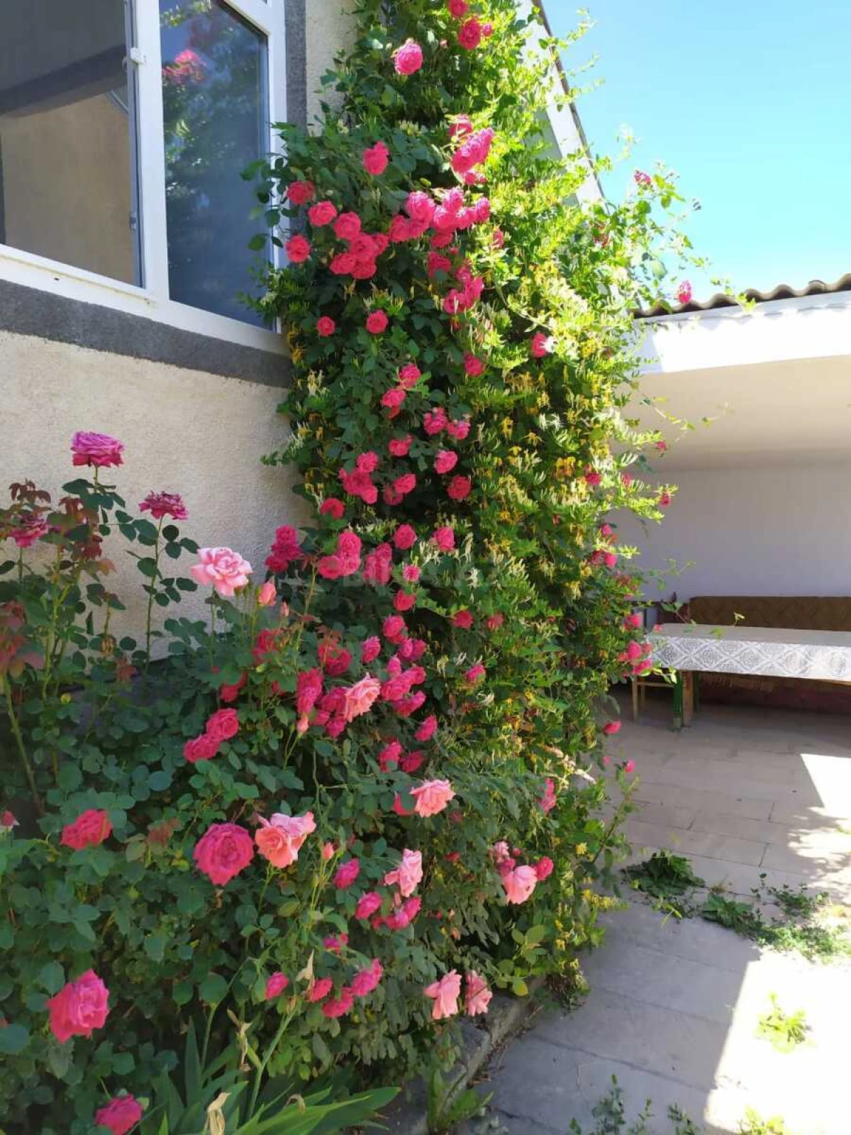 Kirayə verilir 3 otaqlı həyət evi 150 m²