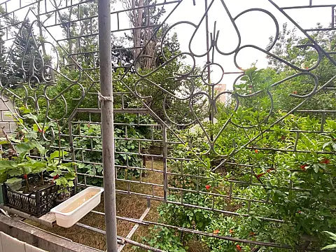 Satılır 3 otaqlı mənzil 85 m²