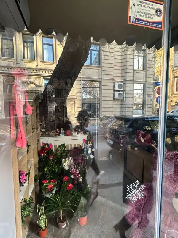 Satılır obyekt 15 m²