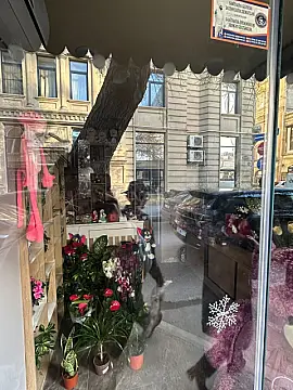 Satılır obyekt 15 m²