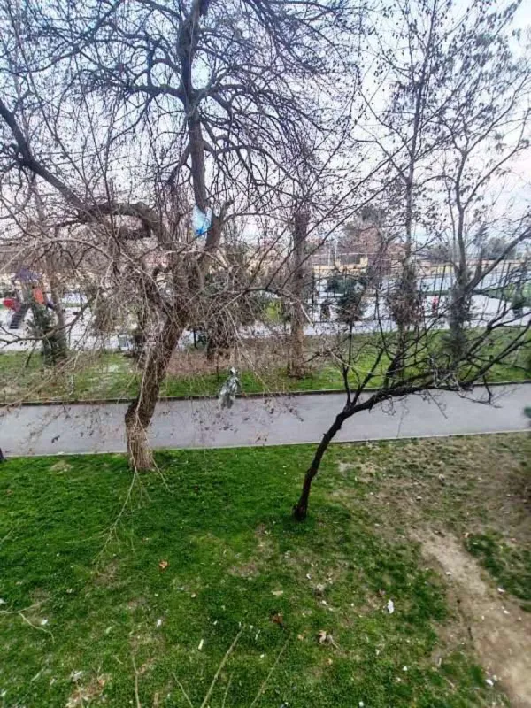 Satılır 3 otaqlı mənzil 75 m²