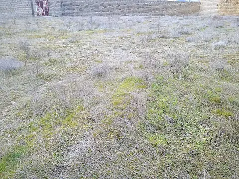 Satılır torpaq sahəsi 14 m²