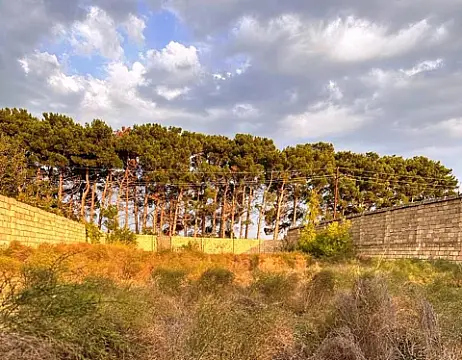 Satılır torpaq sahəsi 8 m²