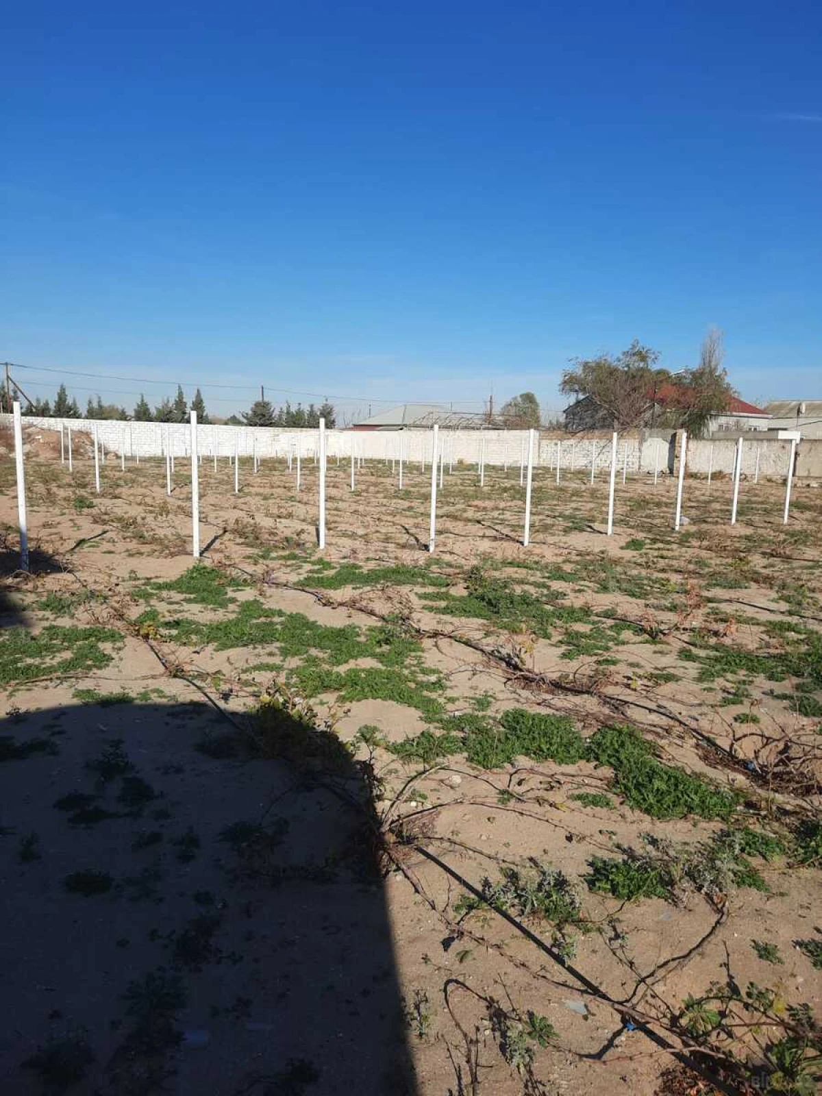 Satılır torpaq sahəsi 22 m²