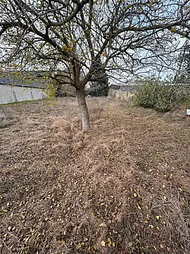 Satılır 2 otaqlı həyət evi 48 m²